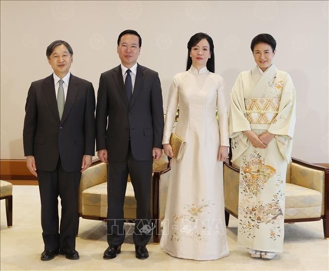 Presiden Vo Van Thuong Beraudiensi kepada Kaisar Jepang - ảnh 1