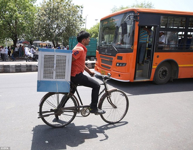 India: Heat wave death toll rises - ảnh 1
