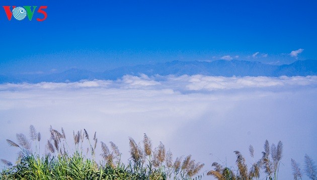 Noroeste de Vietnam entre las nubes: un paraíso terrenal - ảnh 17