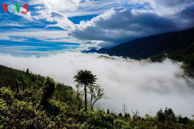 Noroeste de Vietnam entre las nubes: un paraíso terrenal - ảnh 2