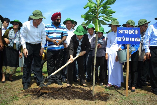 Vietnam y la UIP plantan árboles como acción contra alteración del clima - ảnh 1