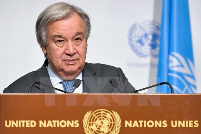 ONU expresa disposición a resolver la crisis ucraniana - ảnh 1