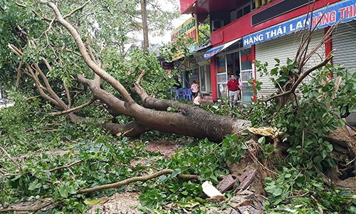 El centro de Vietnam afronta la tormenta de Talas - ảnh 1