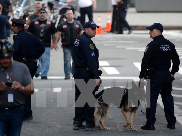 Estados Unidos intensifica la seguridad en Nueva York tras el atentado de Londres - ảnh 1