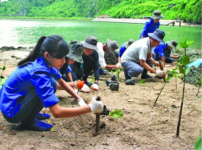 Vietnam alienta a las mujeres a combatir contra el cambio climático - ảnh 1
