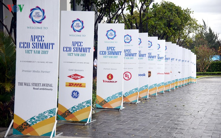Cumbre empresarial del APEC finaliza logrando resultados definitivos  - ảnh 1