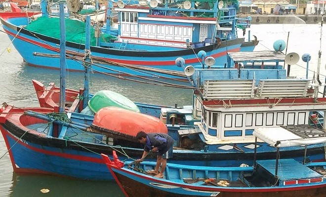 Provincias costeras de Vietnam se preparan para aminorar las consecuencias del tifón Kirogi - ảnh 1