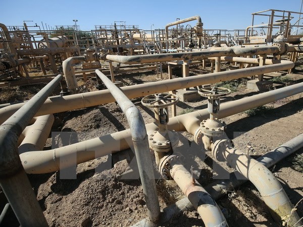 Irak e Irán logran un acuerdo de exportación petrolera mutua  - ảnh 1