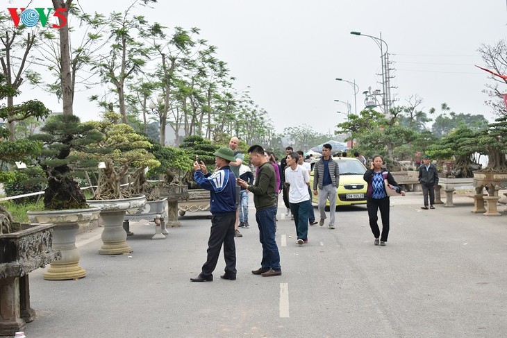 Exponen plantas y objetos ornamentales en Vietnam - ảnh 1