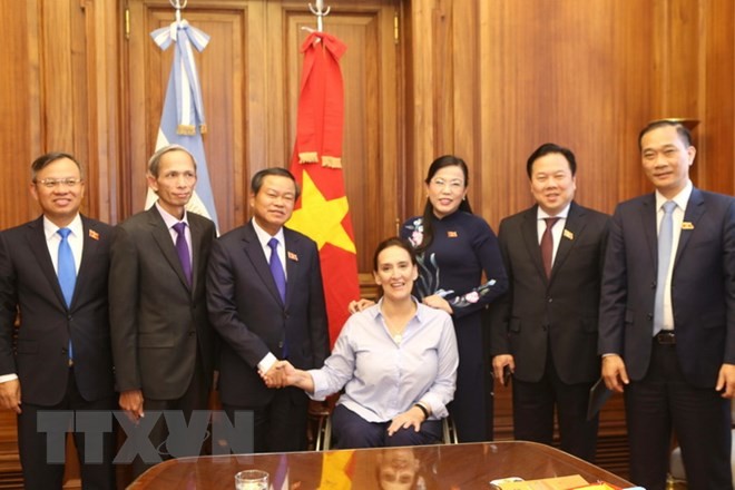 Vietnam y Argentina promueven la asociación estratégica bilateral - ảnh 1