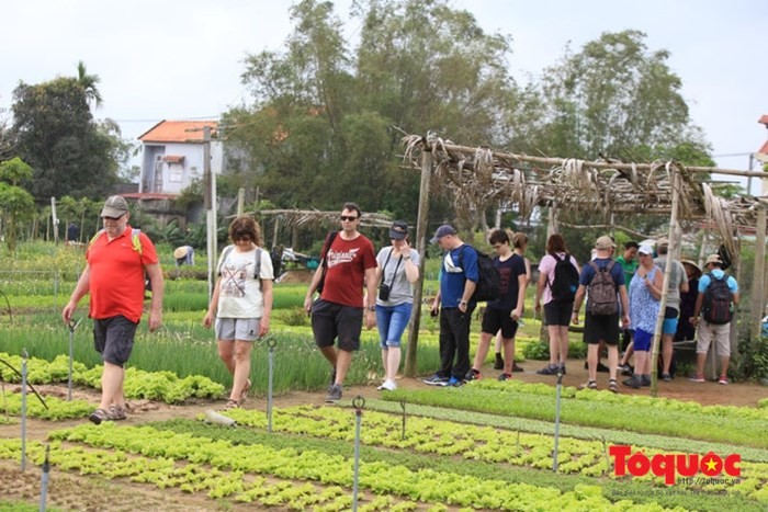 Crece flujo de turistas extranjeros a Vietnam - ảnh 1