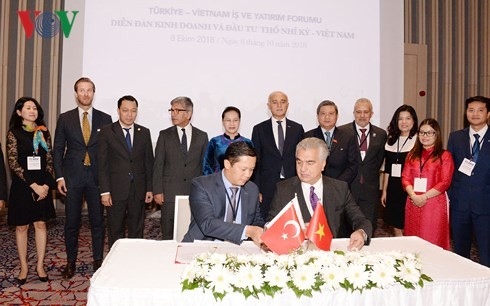 La presidenta del Parlamento de Vietnam participa en el Foro de Negocios e Inversión con Turquía - ảnh 1