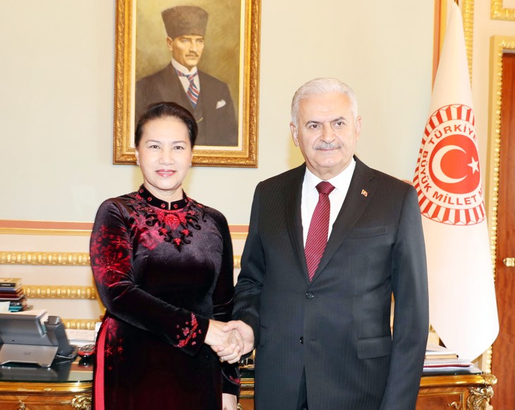 Vietnam y Turquía vigorizan cooperación en múltiples terrenos - ảnh 1