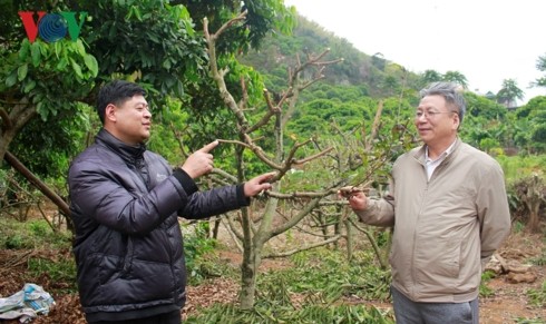 Pham Han Hanh, científico al servicio de la agricultura - ảnh 1