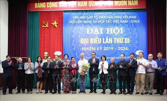 Vietnam y Chile afianzan la amistad y la solidaridad - ảnh 1