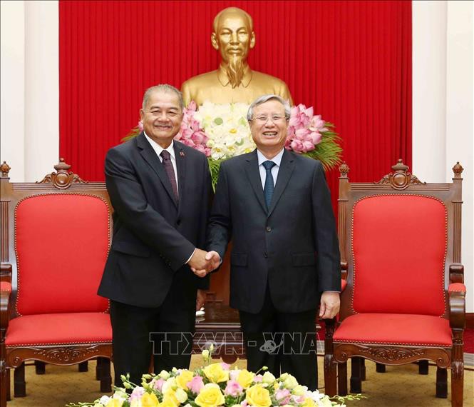 Mayor cooperación partidista de Vietnam y Laos - ảnh 1