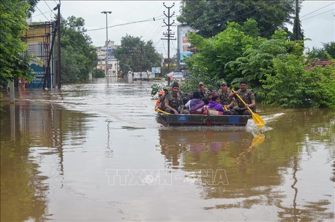   India: más de 180 muertos y un millón de evacuados por inundaciones - ảnh 1