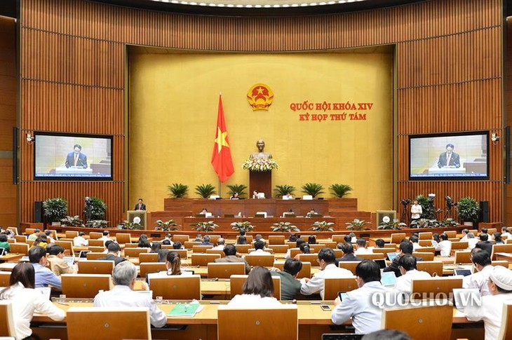 Parlamento vietnamita debate sobre perfeccionamiento de sus actividades - ảnh 1