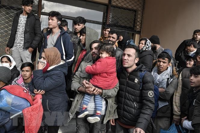 Alemania permite la entrada de 50 refugiados de Grecia - ảnh 1