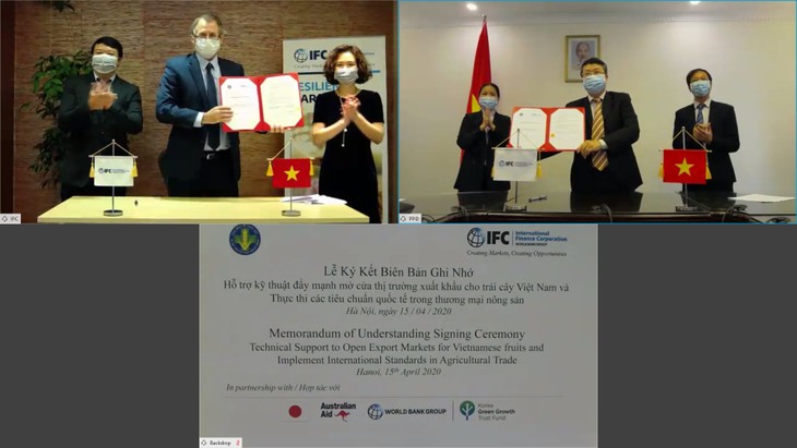 Corporación Financiera Internacional respalda exportaciones agrícolas de Vietnam - ảnh 1
