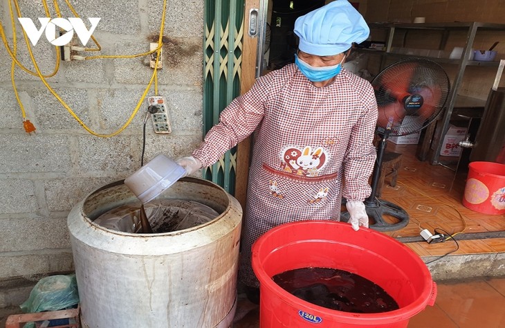 Planta de Platostoma palustre ayuda a salir de la pobreza en la provincia de Cao Bang - ảnh 2