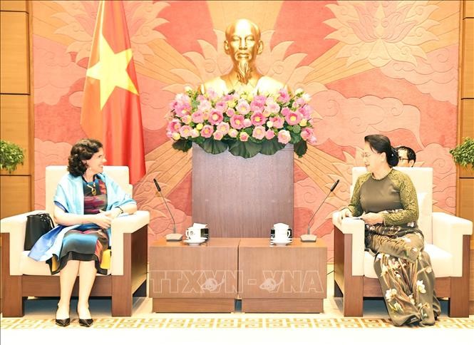 Presidenta del Parlamento vietnamita reconoce aportes de saliente embajadora cubana  - ảnh 1