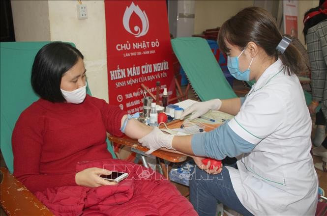 El Instituto Nacional de Hematología y Transfusión de Sangre de Vietnam llama a la donación de sangre - ảnh 1