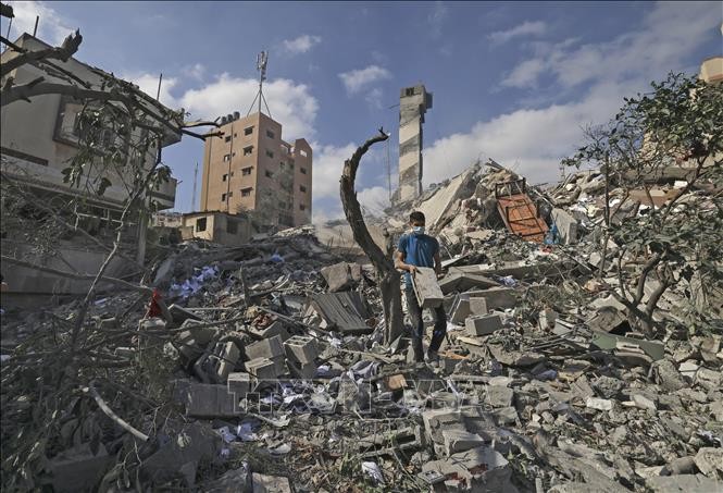 Ayuda humanitaria para hacer frente a dificultades en la Franja de Gaza - ảnh 1