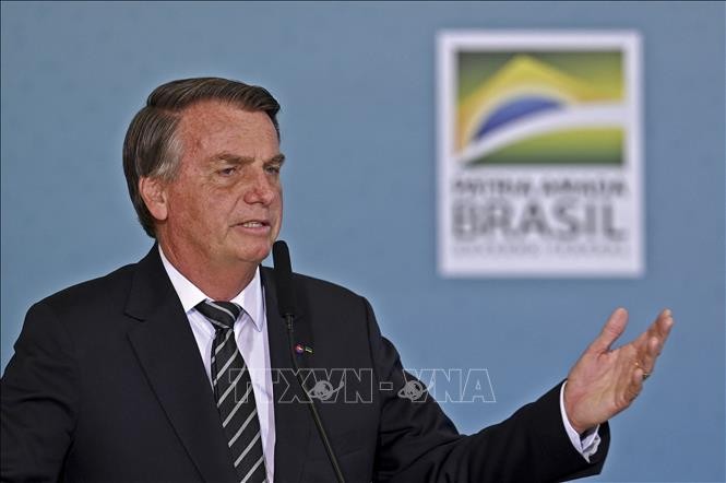 Brasil considera la cooperación con Rusia y China - ảnh 1