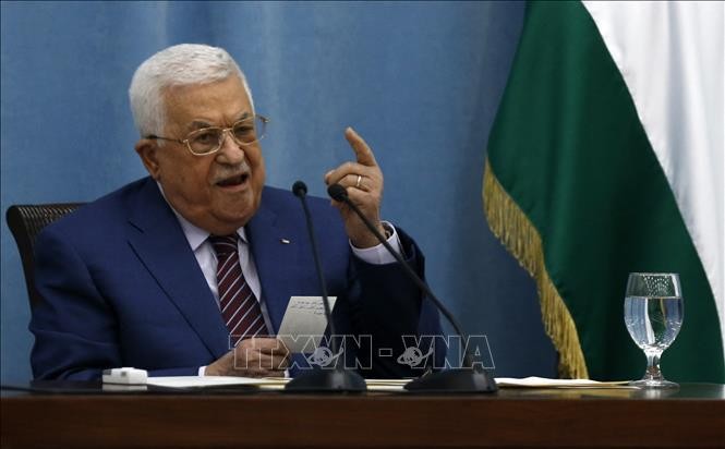 El presidente palestino discute el proceso de paz con Israel - ảnh 1