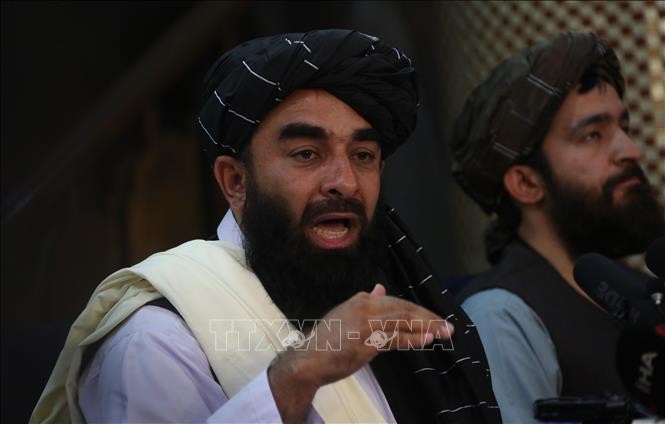 Talibanes confirman la reanudación de negociaciones con Estados Unidos - ảnh 1