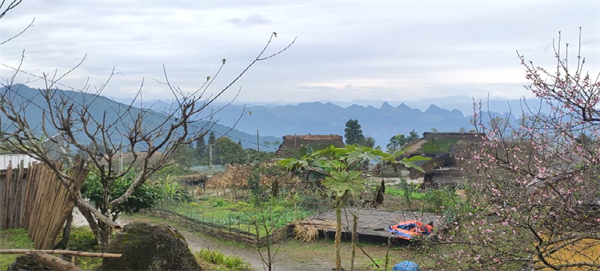 Belleza de la aldea Ta Phin en la provincia de Ha Giang - ảnh 3