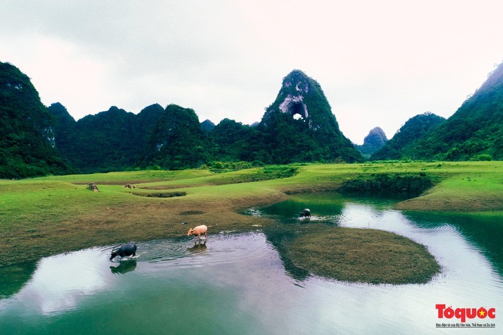 La belleza de la montaña “Ojo divino” en Cao Bang - ảnh 11