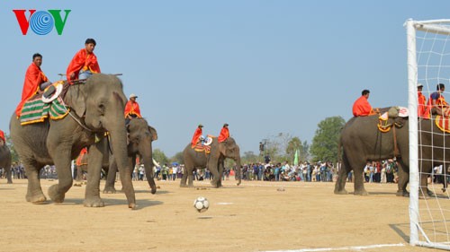 ブオンドンの象祭り - ảnh 8