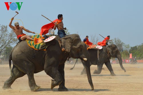 ブオンドンの象祭り - ảnh 10