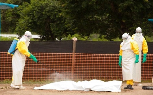 国際社会が進めているエボラ防止対策について - ảnh 1