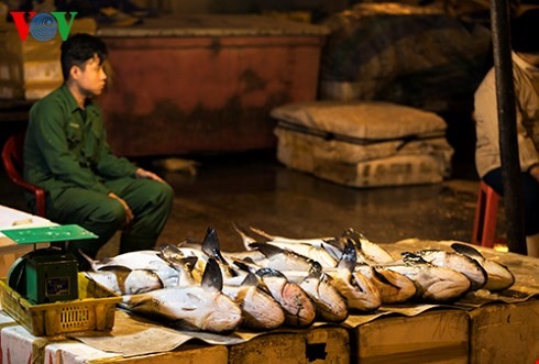 ダナン市のトースアン（Tho Xuan)魚卸売市場（２） - ảnh 1