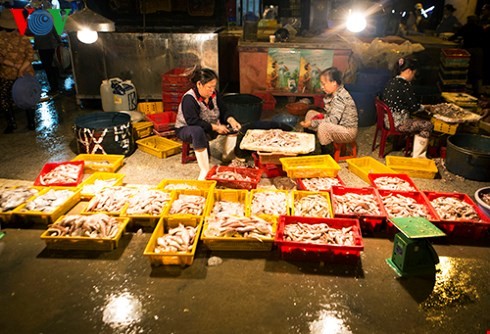 ダナン市のトースアン（Tho Xuan)魚卸売市場（２） - ảnh 3