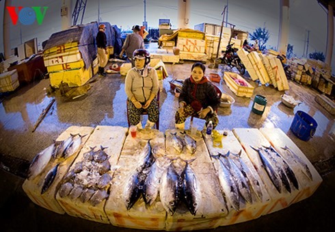 ダナン市のトースアン（Tho Xuan)魚卸売市場（２） - ảnh 2