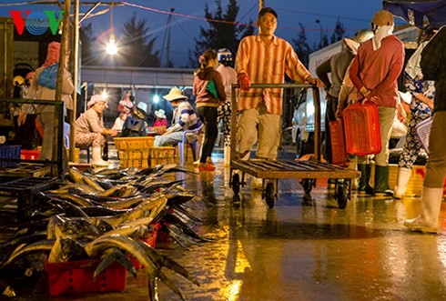 ダナン市のトースアン（Tho Xuan)魚卸売市場（２） - ảnh 5