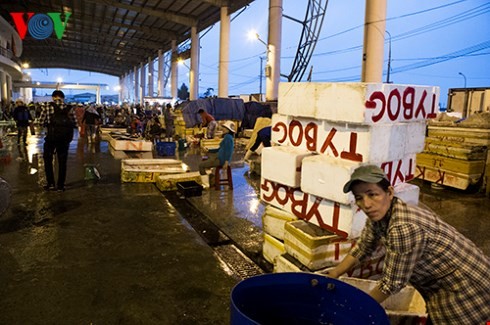 ダナン市のトースアン（Tho Xuan)魚卸売市場（２） - ảnh 6