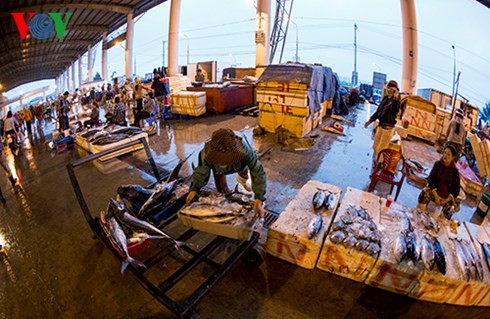 ダナン市のトースアン（Tho Xuan)魚卸売市場（２） - ảnh 7