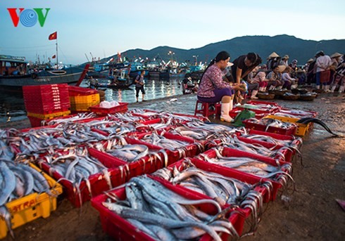 ダナン市のトースアン（Tho Xuan)魚卸売市場（３） - ảnh 1