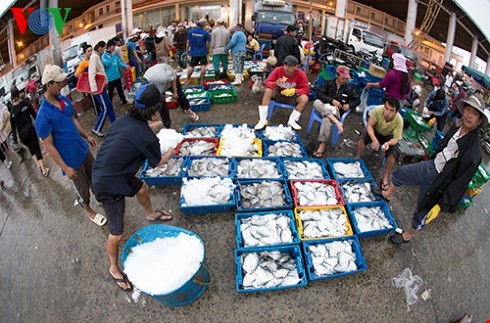 ダナン市のトースアン（Tho Xuan)魚卸売市場（３） - ảnh 3