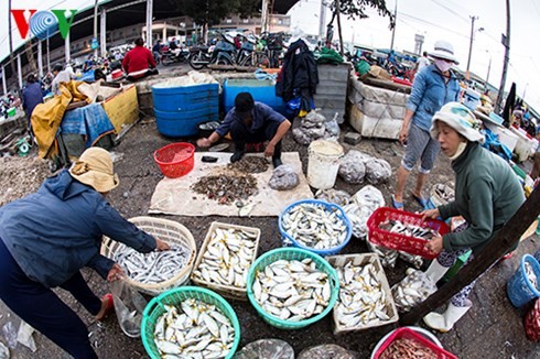 ダナン市のトースアン（Tho Xuan)魚卸売市場（３） - ảnh 4