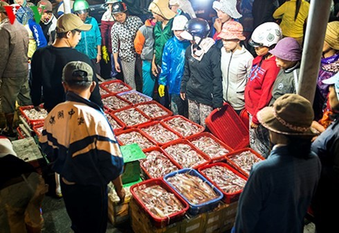 ダナン市のトースアン（Tho Xuan)魚卸売市場（１） - ảnh 3