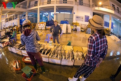 ダナン市のトースアン（Tho Xuan)魚卸売市場（１） - ảnh 7