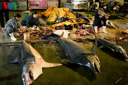 ダナン市のトースアン（Tho Xuan)魚卸売市場（２） - ảnh 4