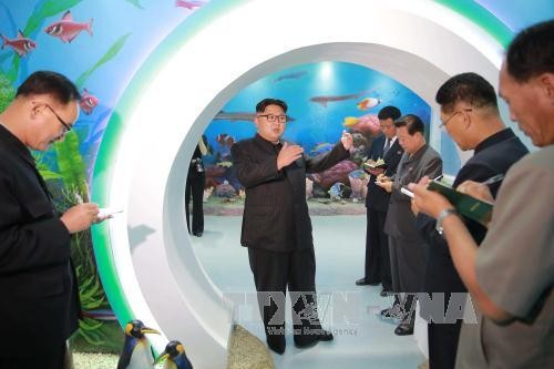 朝鮮の金正恩氏が「国務委員長」就任、最高人民会議で国防委改編 - ảnh 1