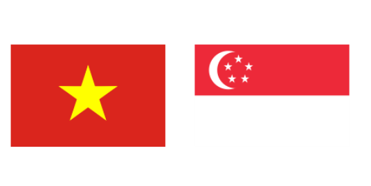 ベトナムとシンガポール、協力を促進 - ảnh 1